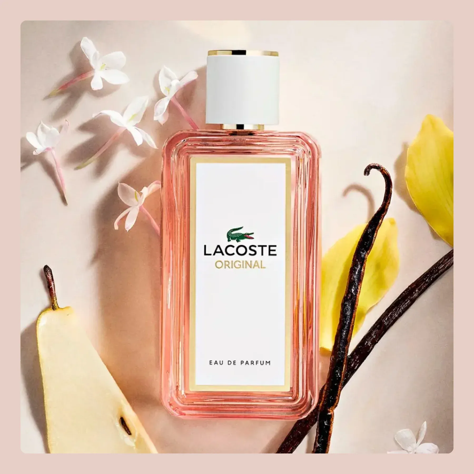 LACOSTE 1